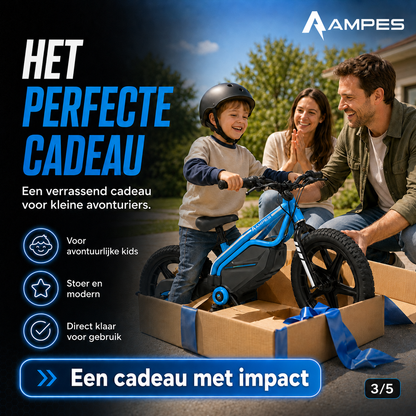 Elektrische Loopfiets